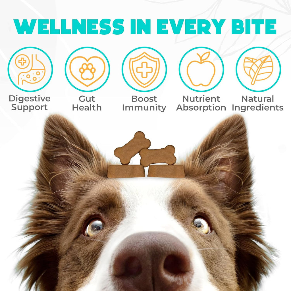 Masticables Probióticos para Perros 150 uds - Apoyo Digestivo - Sabor Pollo