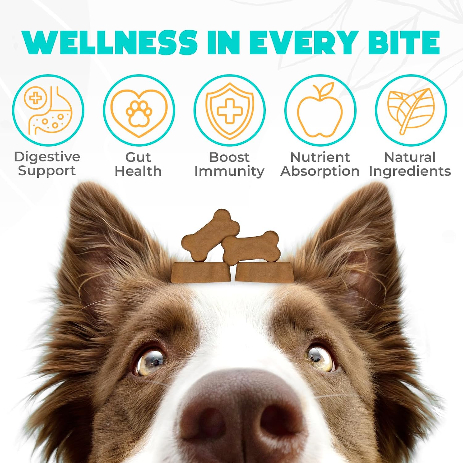 Masticables Probióticos para Perros 150 uds - Apoyo Digestivo - Sabor Pollo