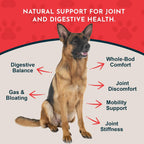 Yucca - Suplemento de Raíz de Yucca Orgánica para Articulaciones y Digestión en Perros y Gatos, Gotas Herbales Líquidas - 30 ml