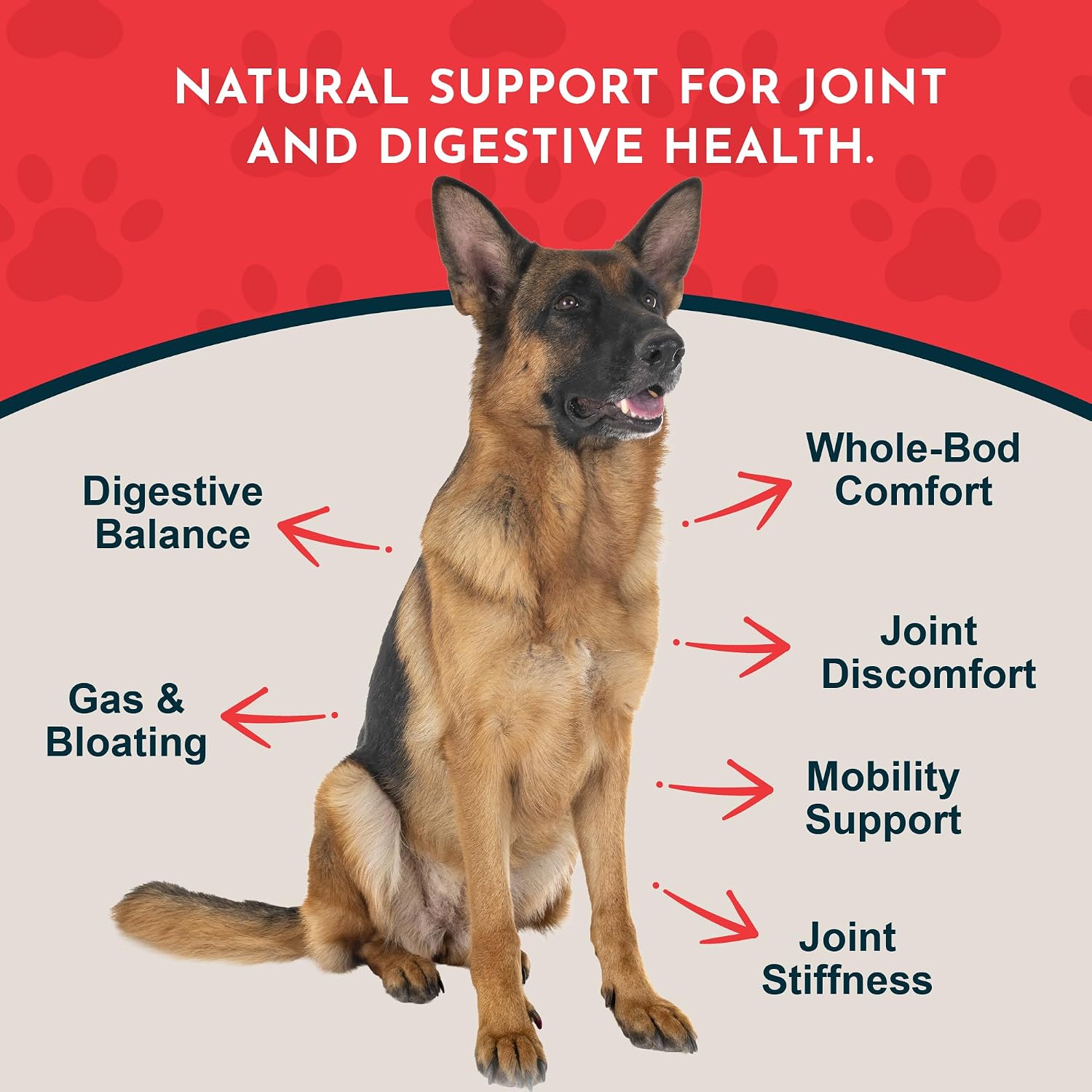 Yucca - Suplemento de Raíz de Yucca Orgánica para Articulaciones y Digestión en Perros y Gatos, Gotas Herbales Líquidas - 30 ml
