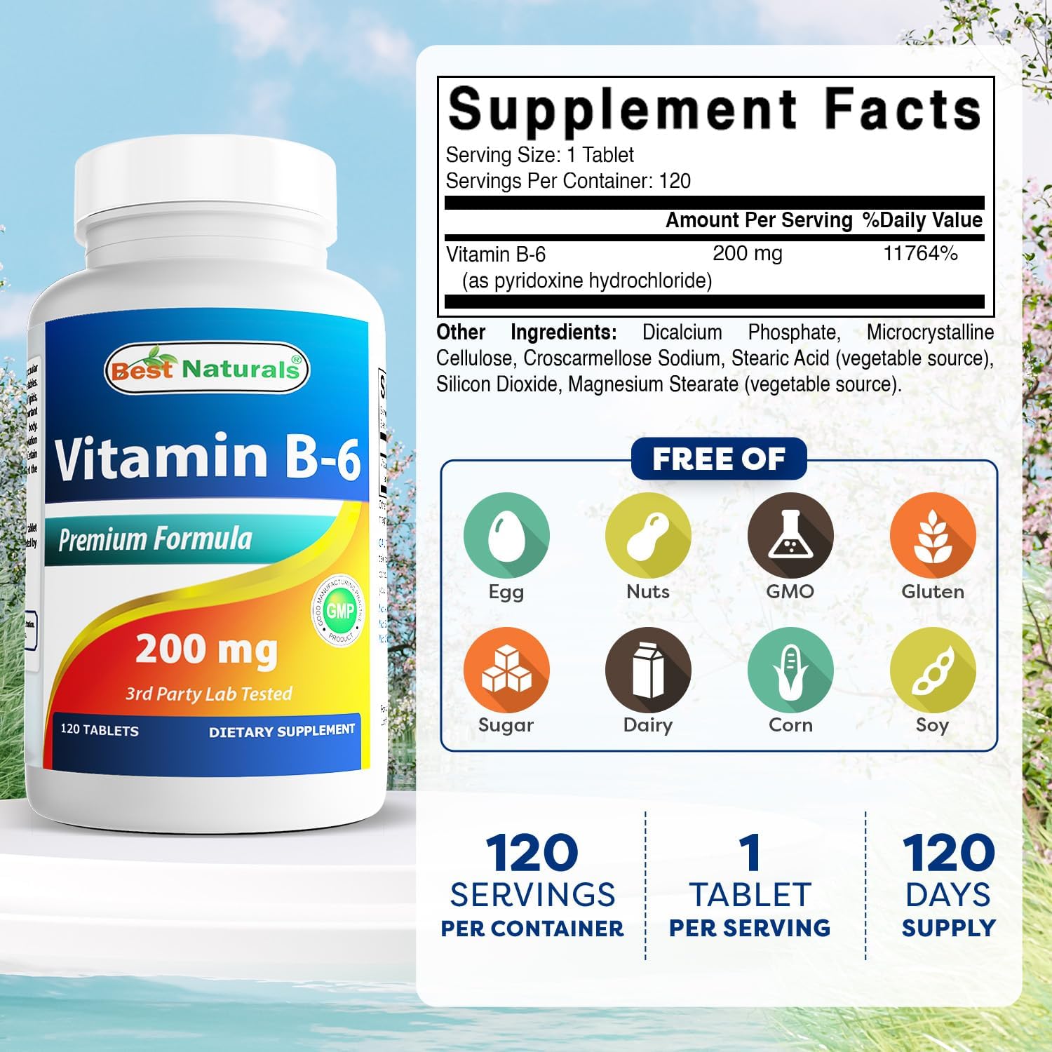 Best Naturals Vitamina B6 200 mg para Adultos, 120 Comprimidos