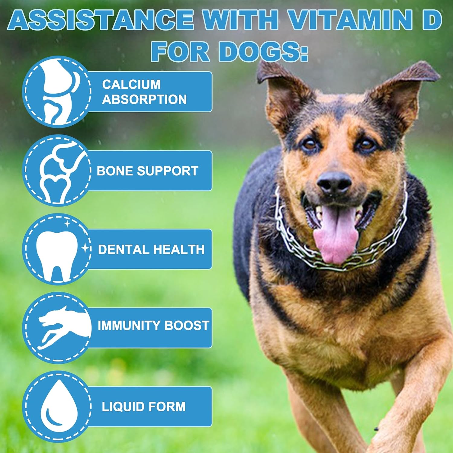 Vitamina D para Perros, Gotas Líquidas de Vitamina D para Perros, Vitaminas D para Perros Promueven la Absorción de Calcio, Apoya el Sistema Inmunitario, Salud de Caderas y Articulaciones y Salud Dental, Suplemento Multivitamínico para Perros