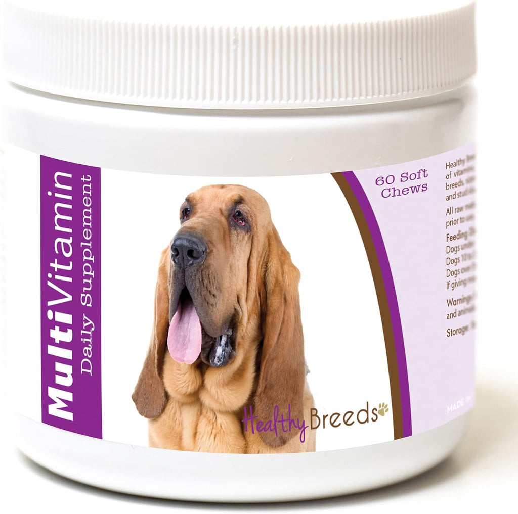 Healthy Breeds Bloodhound Multivitamínico en Chews Blandos, 60 unidades