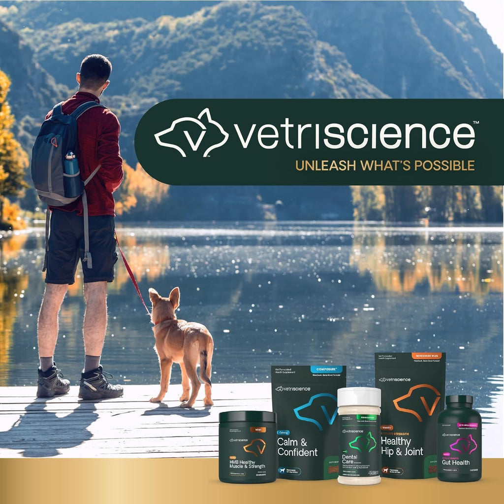 VetriScience Extra Large Pinchers Pill Hiders - Envoltura para pastillas con probióticos para perros, sabor a mantequilla de cacahuete, 45 unidades