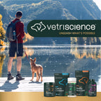 VetriScience Extra Large Pinchers Pill Hiders - Envoltura para pastillas con probióticos para perros, sabor a mantequilla de cacahuete, 45 unidades