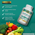 Nature's Lab One Daily Multivitamin Cápsulas