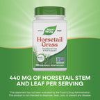 Nature's Way Horsetail Grass 440 mg - 100 Capsules - Herbal Supplement for Hair and Nails