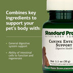 Canine Enteric Support – Suplemento Digestivo para Perros (30 g)