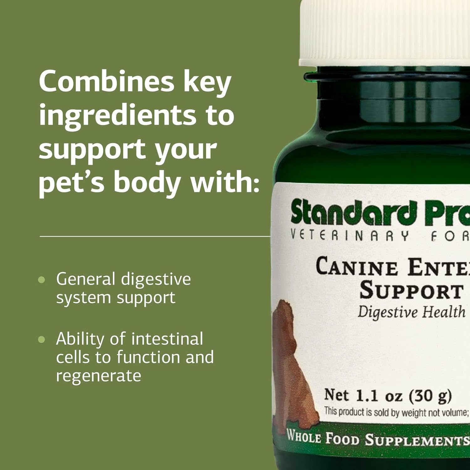Canine Enteric Support – Suplemento Digestivo para Perros (30 g)