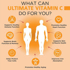 OmniBiotics Ultimate Vitamina C 2000 mg con Zinc, Saúco y D3 – 120 Comprimidos Veganos