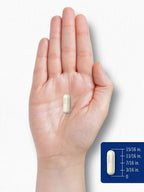 Carlyle Chitosan 1200 mg - 120 Cápsulas de Liberación Rápida - Sin Gluten, No GMO