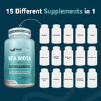 Herbtonics Sea Moss, Black Cumin Seed, Ashwagandha, Burdock Root & ACV Complex | Apoyo Inmunidad, Estrés y Digestión | 60 Cápsulas