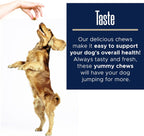 Suplemento multivitamínico para perros - 120 masticables blandos con Omega, Probióticos, Glucosamina y más - para perros pequeños, grandes y mayores