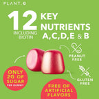Gominolas Multivitamínicas Completas para Adultos – Mezcla de Vitaminas A, B, C, D, E, Zinc y Biotina – Energía e Inmunidad – 90 Gominolas Veganas Sin Gluten