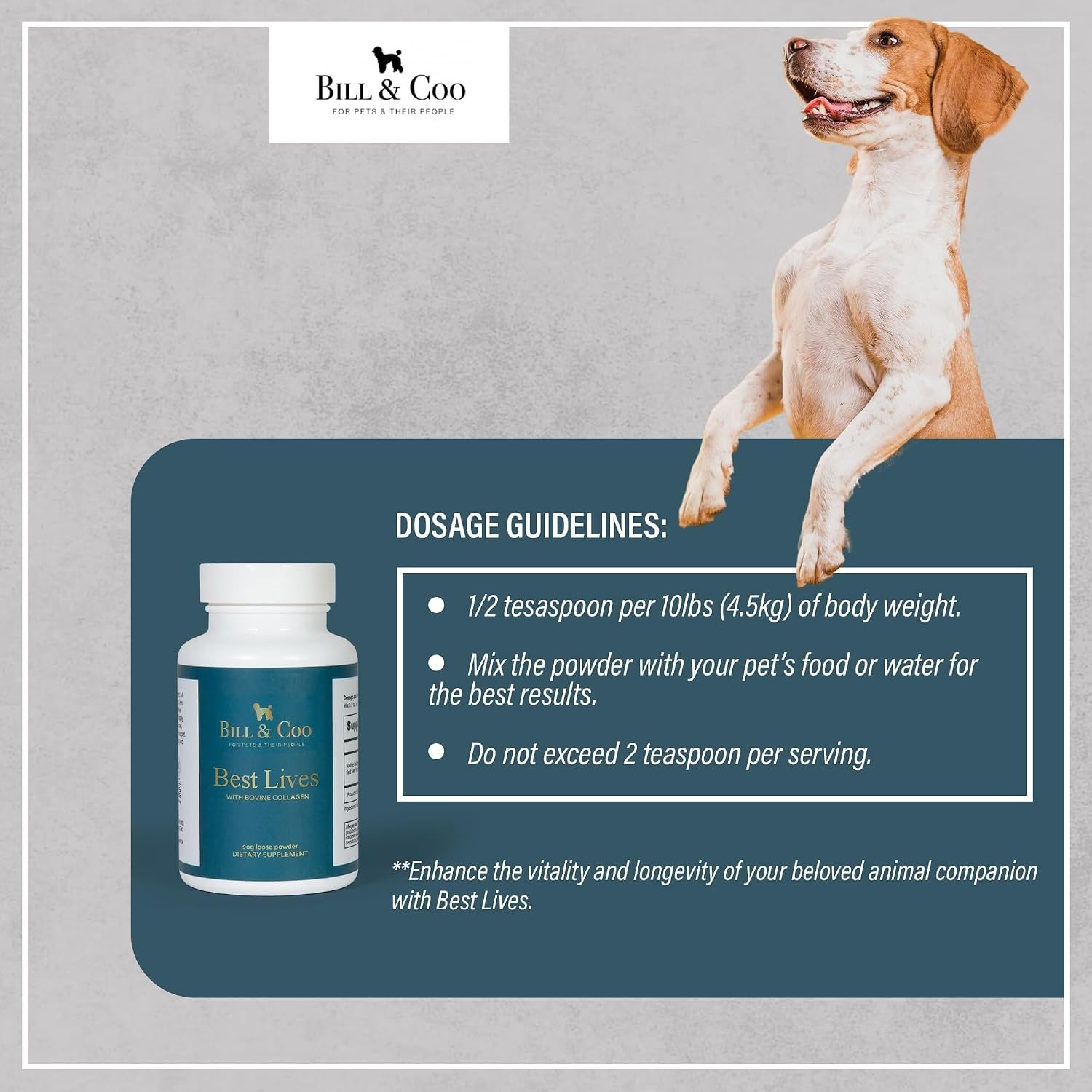 BILL & COO Best Lives Suplemento de Fibra con Probióticos, Colágeno Bovino y Remolacha para Perros - 90g
