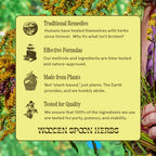 Mezcla Refrescante de Limón y Jengibre para el Apoyo Inmunitario | Con Saúco, Equinácea, Zinc y Vitamina C | 10 Sobres Monodosis