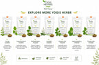 YOGIS HERBS Chitharathai en Polvo – Alpinia Officinarum (Kulanjan) – 100% Puro