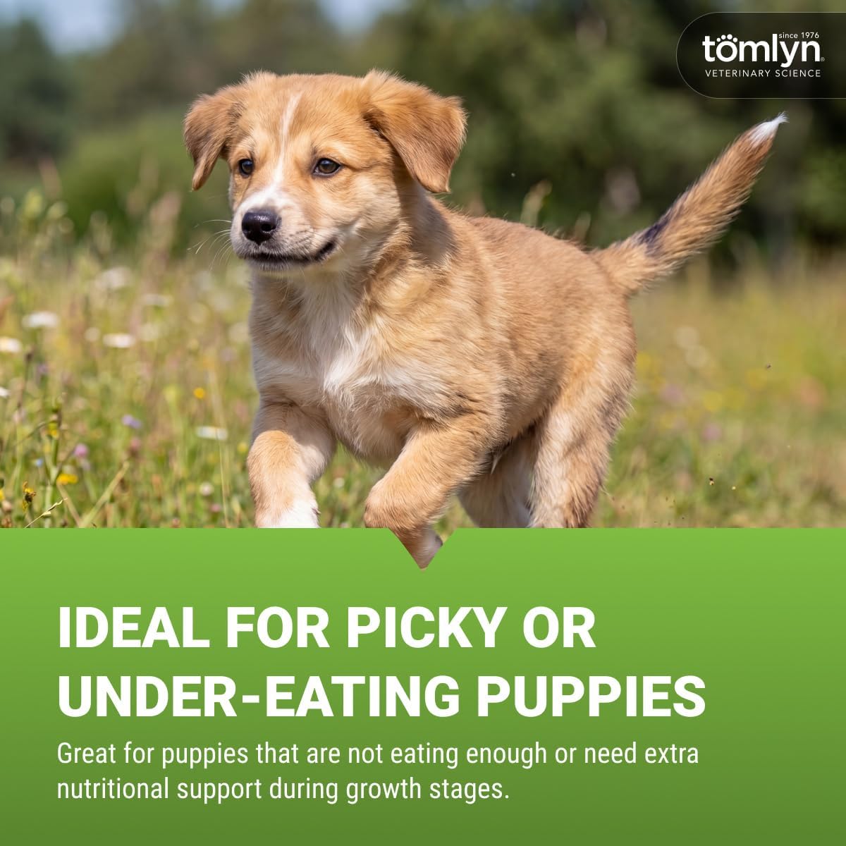 Tomlyn Nutri-Cal Gel Nutricional para Cachorros 4.25 oz
