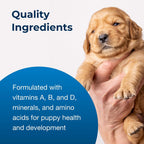 Pet-Ag PetLac Polvo para Cachorros - 10.5 oz (Paquete de 4)