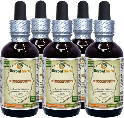 HerbalTerra Shankhpushpi (Convolvulus – 1 ml = 330 mg de hierba seca – Image 3
