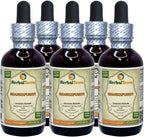 Shankhpushpi (Convolvulus Pluricaulis) Extracto Líquido de Hierba Entera Seca - HerbalTerra 946 ml