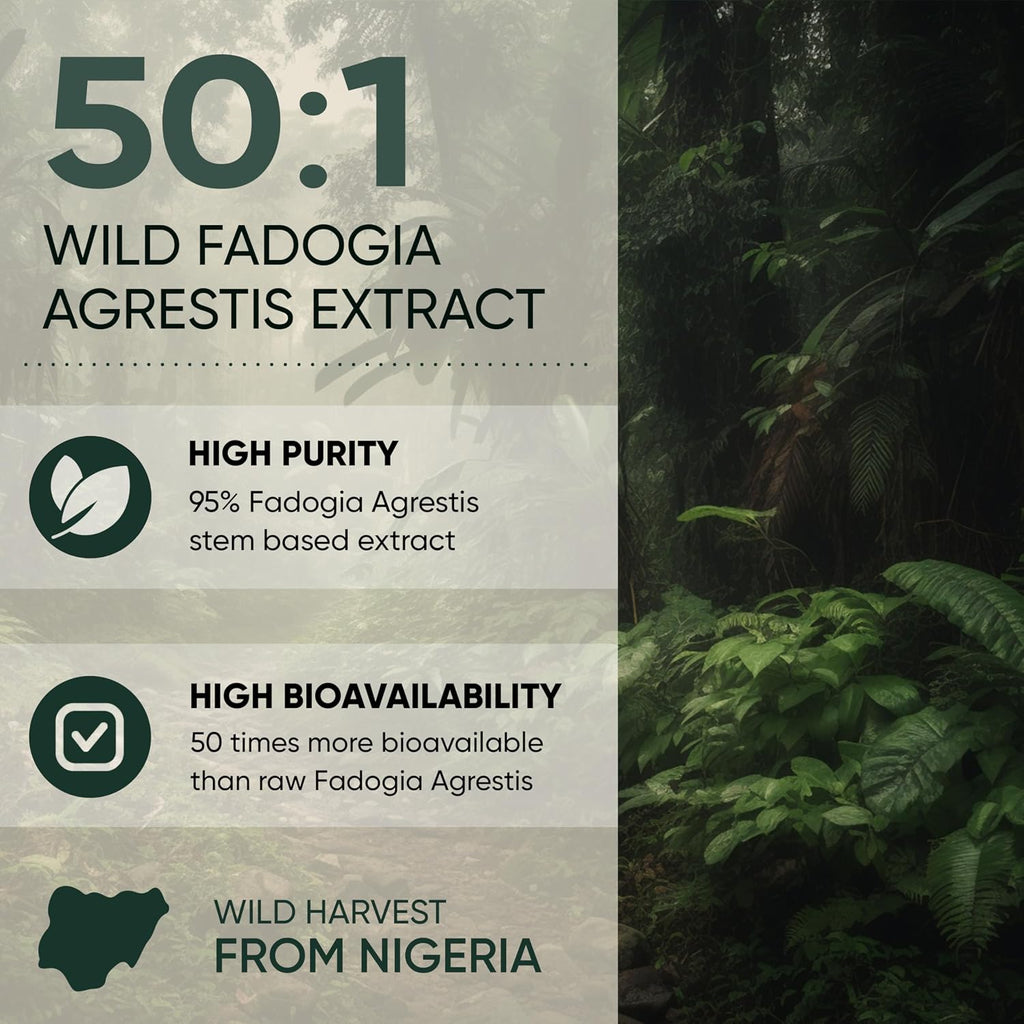Jungle Powders Extracto de Fadogia Agrestis para Hombres, Concentración 50:1, 141 g (5 oz), 313 Servicios