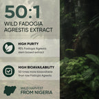 Jungle Powders Extracto de Fadogia Agrestis para Hombres, Concentración 50:1, 141 g (5 oz), 313 Servicios