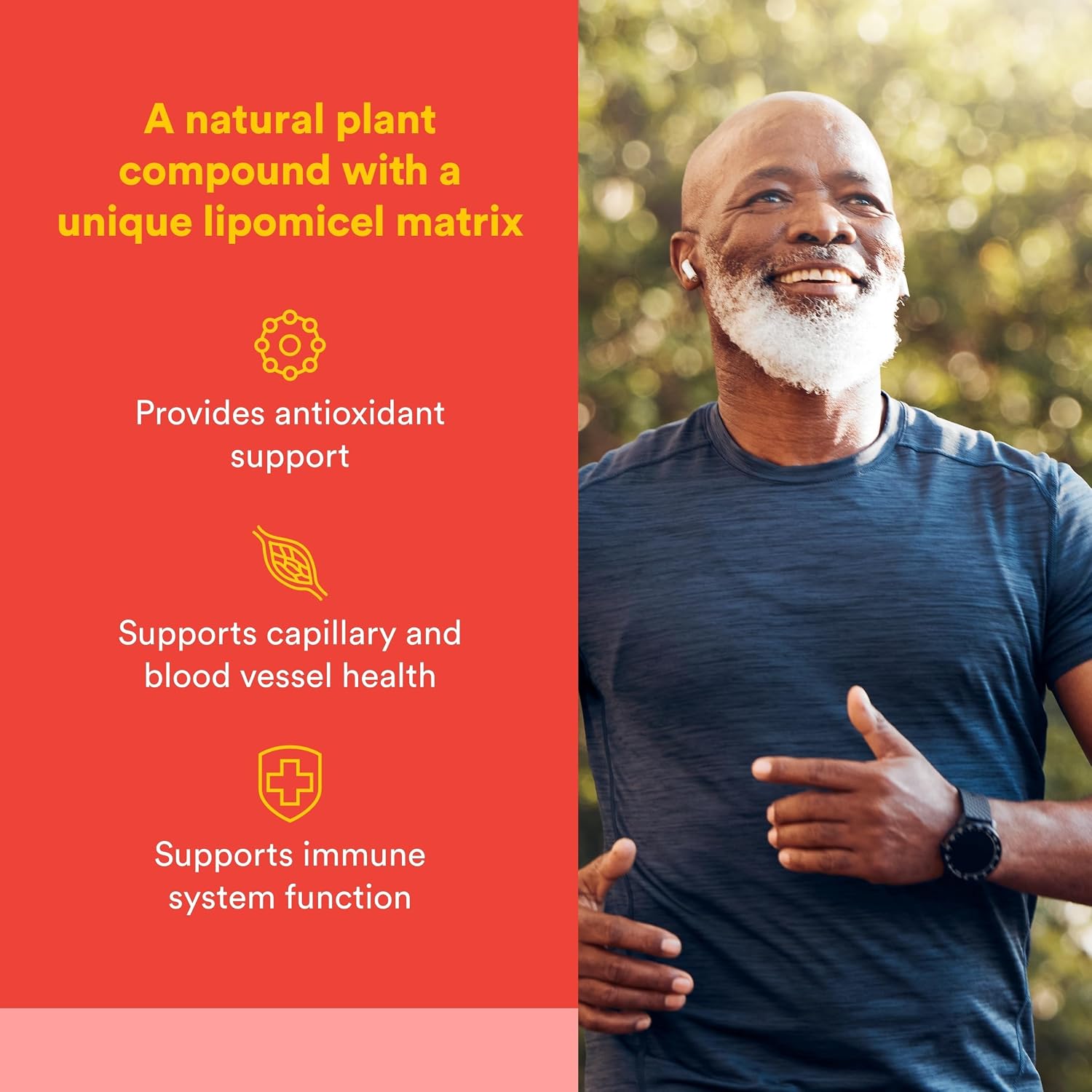 Natural Factors Quercetin LipoMicel Matrix – 60 Cápsulas blandas de absorción superior