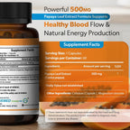 Extracto de Hoja de Papaya 500 mg - 60 Cápsulas - TrueMed