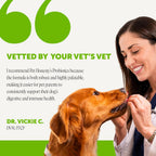 Probióticos para Perros con Prebióticos y Enzimas Digestivas - 6 Mil Millones de UFC - Sabor Pato - 90 Comprimidos Masticables - Pet Honesty