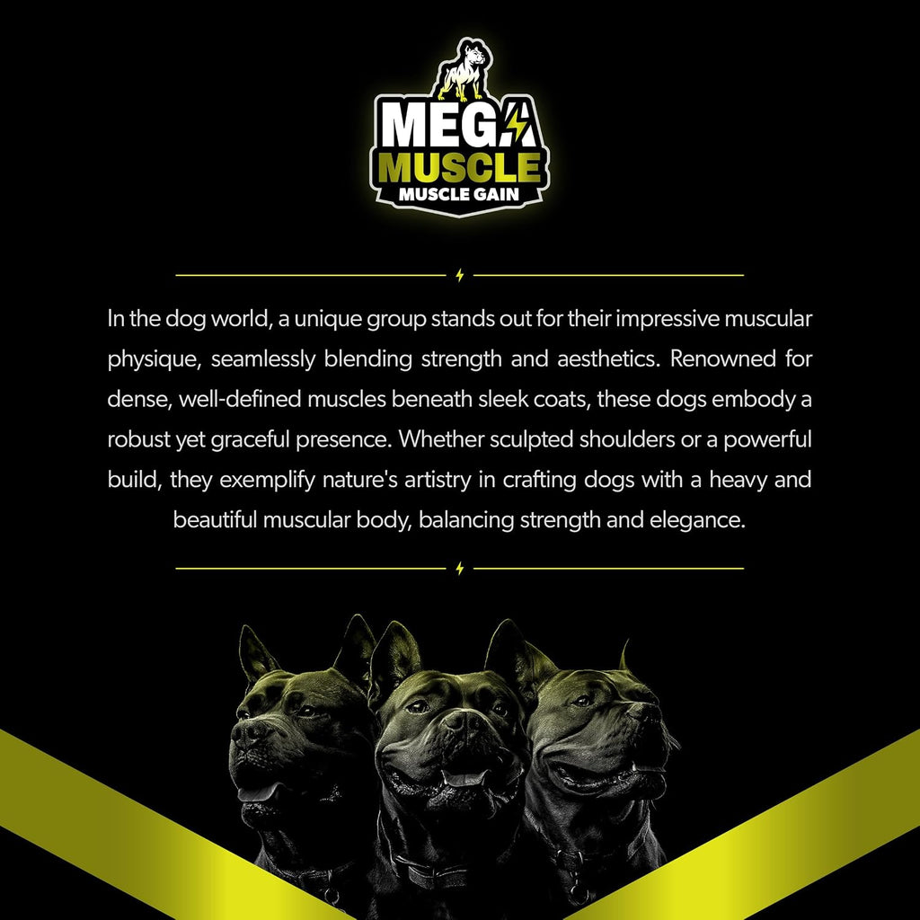 Mega Muscle para Perros - Comprimibles Multivitamínicos con Alto Contenido de Proteínas - Sabor a Pollo, 60 unidades