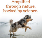 NutriSource AmpliFull Turkey Flavor Multivitamin Soft Chews para Perros, Suplemento Diario con Colostro Bovino, Vitaminas y Minerales Esenciales, 70 Chews (1 Pack)