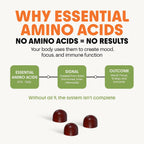 Awesome Everyday Essential Daily Nutrition Gummies – Gominolas Nutricionales Diarias con Aminoácidos Esenciales, Vitaminas, Minerales y Superalimentos Fermentados