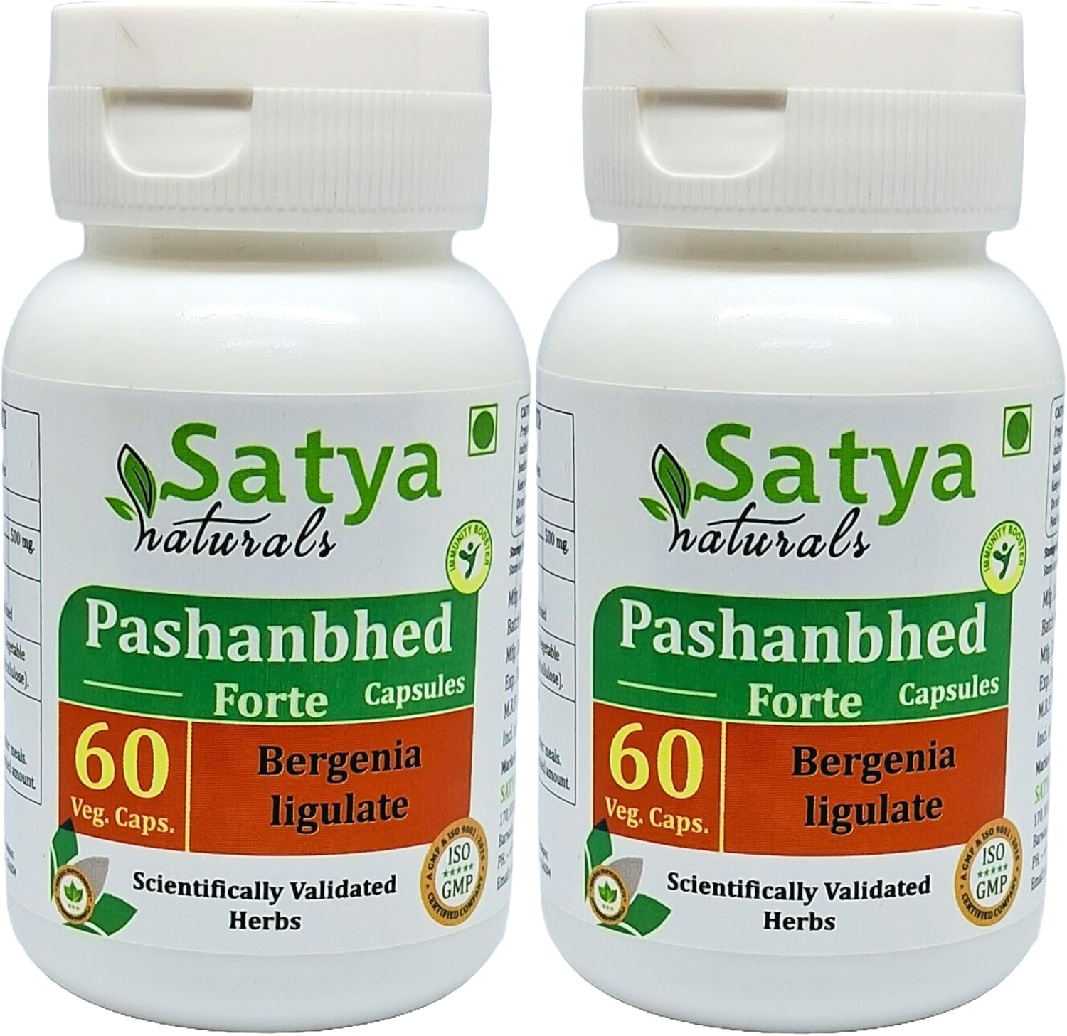 Pashanbhed Forte Cápsulas 500 mg - 60 Cápsulas Vegetales | Extracto de Bergenia Ligulata 10:1 | Suplemento Herbal Ayurvédico