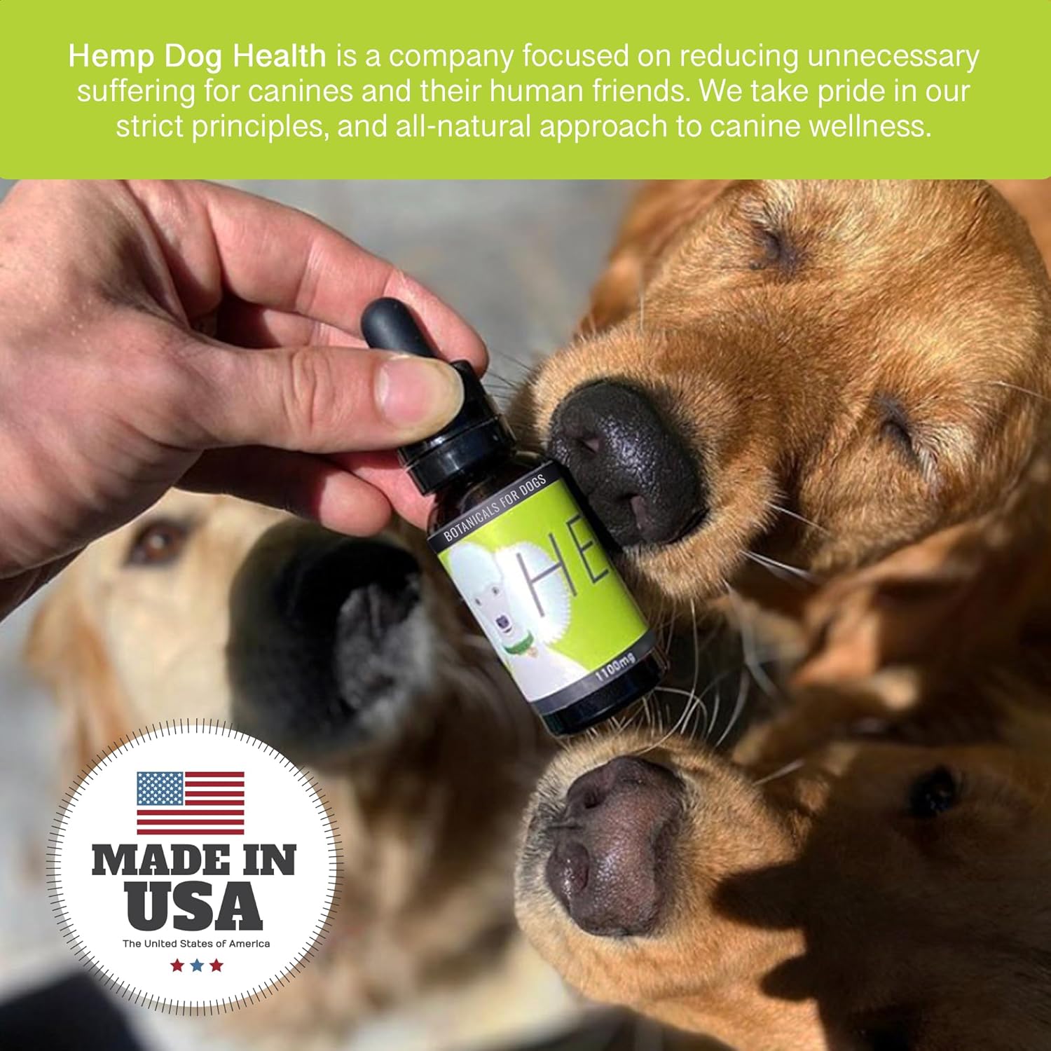 HEAL - Aceite de Cáñamo para Perros - Apoyo Inmunológico y Bienestar Diario