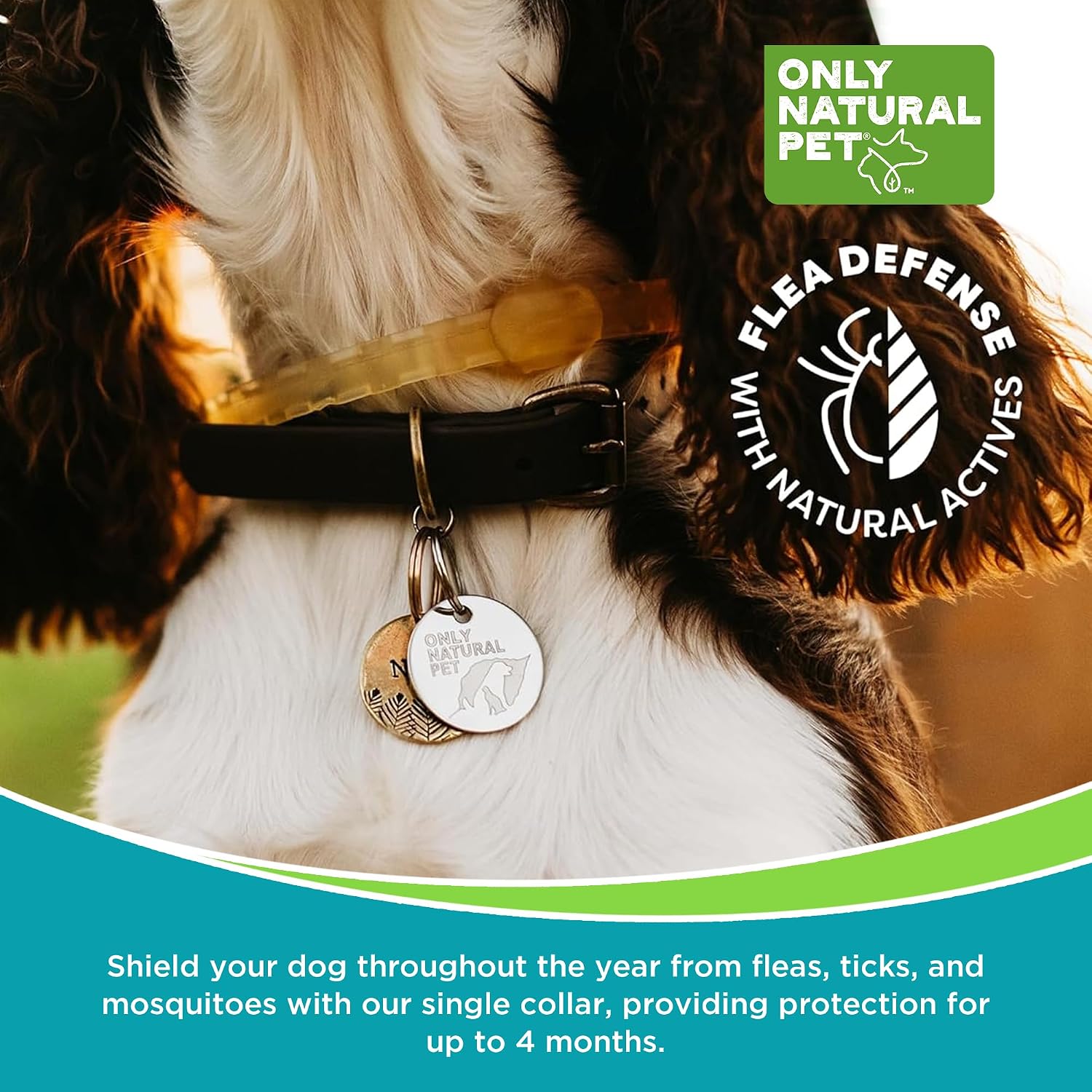 Only Natural Pet Kit de Bienestar 3 en 1 para Perros Pequeños – Incluye Squeeze-On, Barrier Bites y Collar Protector