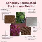 ION* Intelligence of Nature Vital Immunity Drink Mix - Apoyo Inmunitario con Vitamina C y Hongos Adaptógenos, Suplemento Diario en Sobres, Fácil de Transportar - Sabor Saúco, 20 Sobres