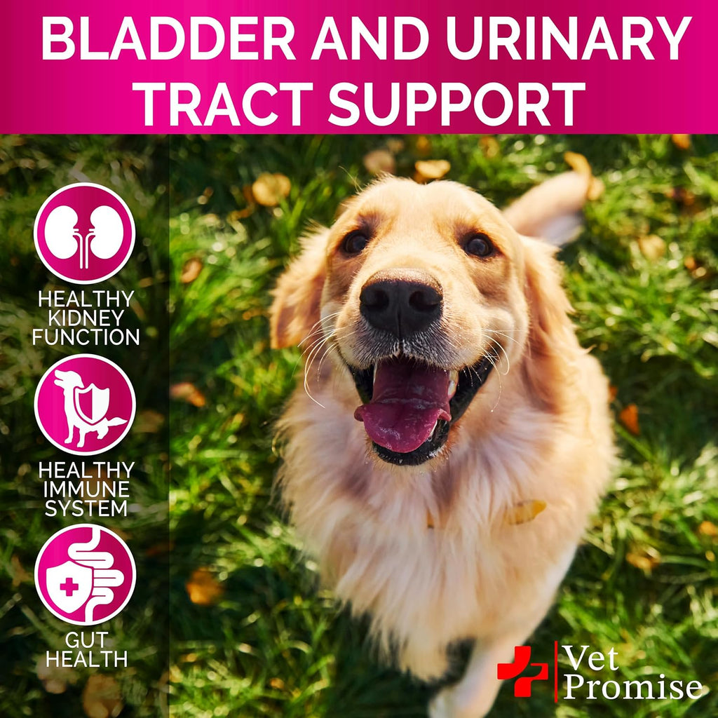 Dog UTI Chews - Masticables de Arándano para Perros - Apoyo Urinario y Vesical