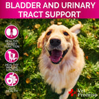 Dog UTI Chews - Masticables de Arándano para Perros - Apoyo Urinario y Vesical
