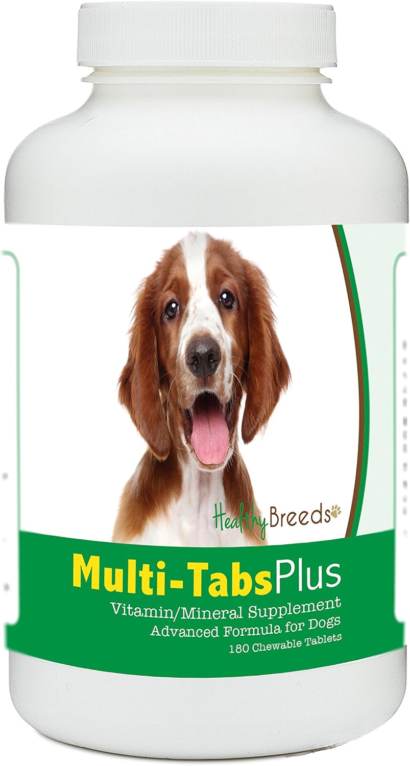 Healthy Breeds Welsh Springer Spaniel Multi-Tabs Plus Comprimidos Masticables - Vitaminas y Minerales para Perros - 180 Unidades