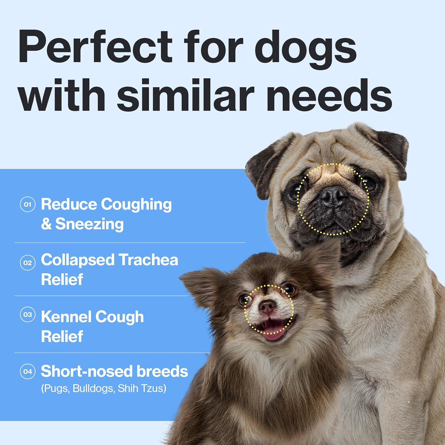 Doctor By Breath Care - Suplemento Bronquial para Perros - Alivio de la Tos (240 g)