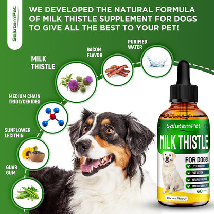 Cardo Mariano para Perros - Suplemento – Bienestar general: Al apoyar los procesos de desintoxicación natural, el – Image 4