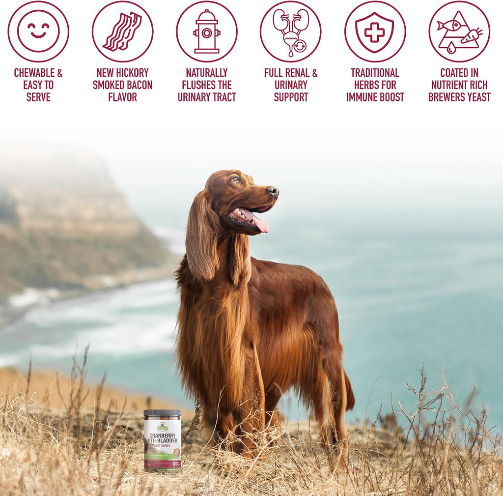 Strawfield Pets Cranberry Bladder & UTI Chews para Perros con D-Mannosa + Vitamina C - Snacks Blandos Sabor Bacon (120 unidades)