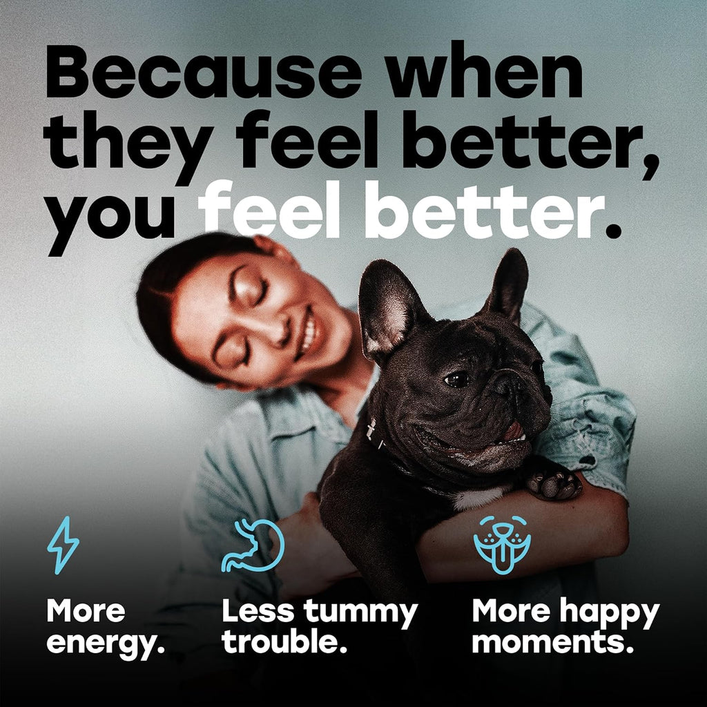 Pup Choice Probiotics para Perros - Digestión, Salud Intestinal y Heces Más Firmes | 1 Billón UFC, 6 Cepas con Calabaza, Papaya y Cúrcuma; Sabor a Ternera; 140 masticables blandos