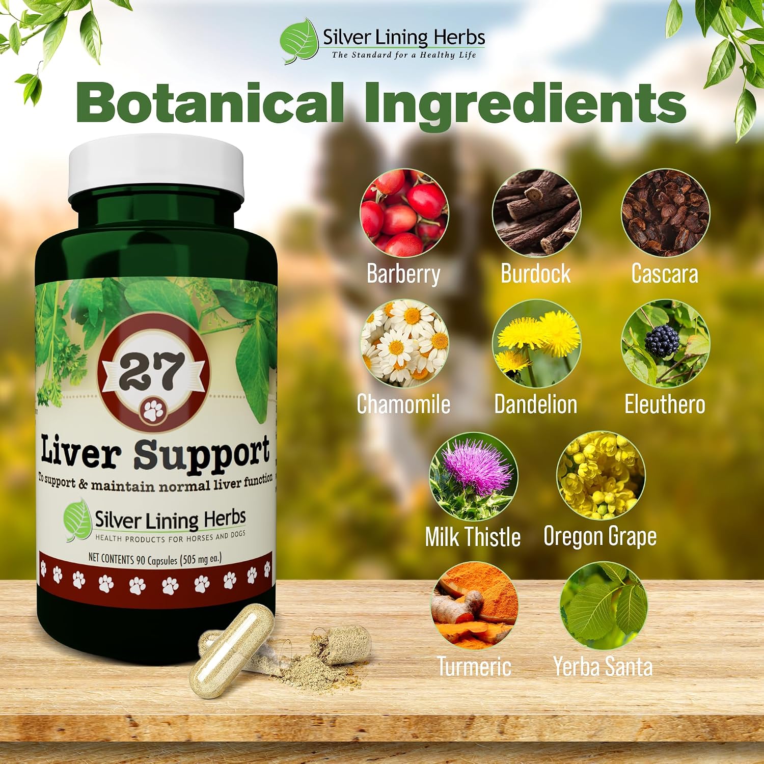 Silver Lining Herbs - Liver Support for Dogs - All Natural Herbal Supplement with Milk Thistle, Turmeric, Chamomile and More - 90 Capsules