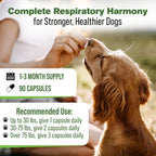 Respiratory Support for Dogs - Herbal Blend with Mullein, Ginger, Boswellia, and Yerba Santa - 90 Capsules