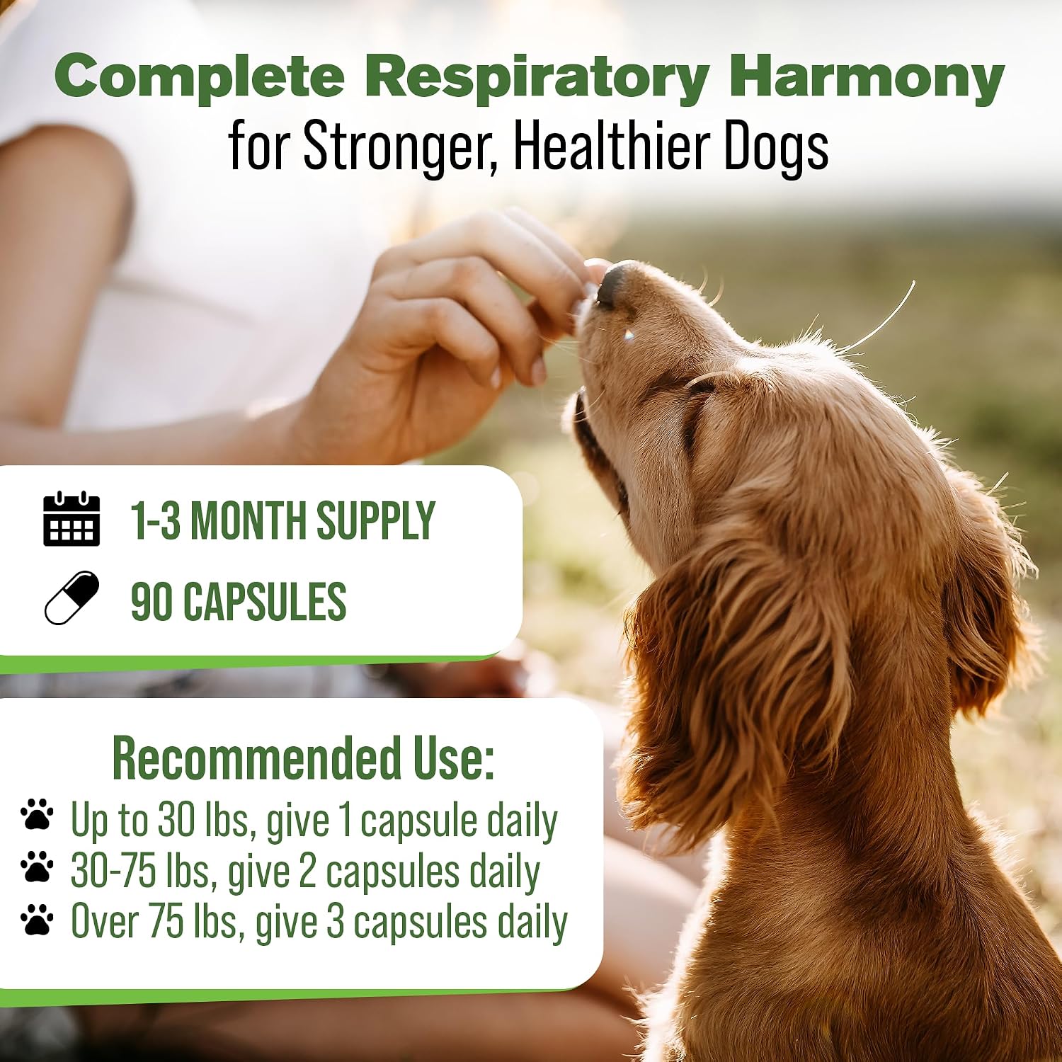 Respiratory Support for Dogs - Herbal Blend with Mullein, Ginger, Boswellia, and Yerba Santa - 90 Capsules
