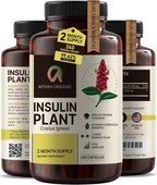 Afiyah Organic - Cápsulas de Costus Igneus (Planta Insulina) - 240 Cápsulas Veganas - Fabricado en EE. UU. - Incluye Programa de Salud Gratuito