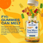 TrueSeaMoss Irish Sea Moss Gummies con Bardana y Fucus – Fórmula para Adultos y Niños – 60 Gominolas