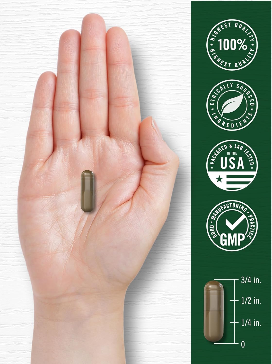 Carlyle Extracto de Lechuga Silvestre | 200 Cápsulas | Suplemento de Hoja Herbácea | Sin OGM y Sin Gluten